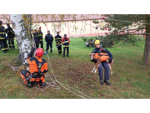 Rescue Camp